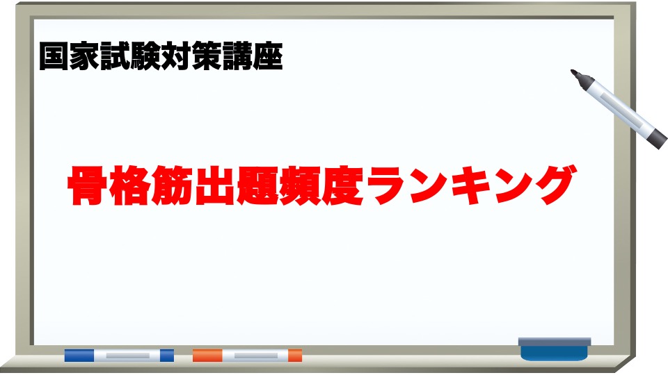 お歳暮 骨格筋の構造 機能と可塑性 : 理学療法のための筋機能学