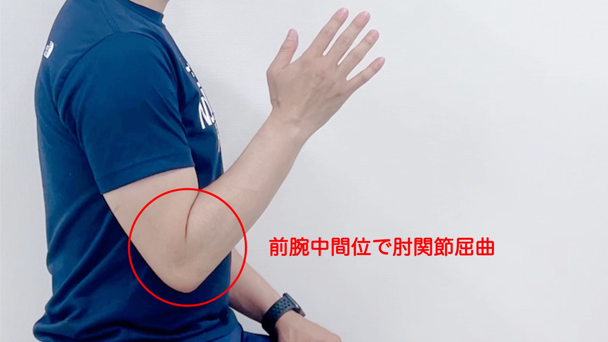 前腕中間位とは, 正中位 中間位 違い – KDWDT